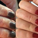 Orangen-Keks-Schnitten