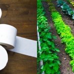 Das Abnehmen ü40 muss mit diesen Tipps nicht schwierig sein